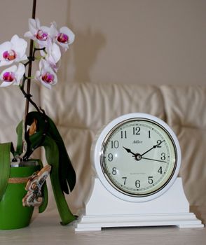 Zegar kominkowy biały Adler 22137 ✓ Zegar kominkowy drewniany , zegar w kolorze écru (5).JPG